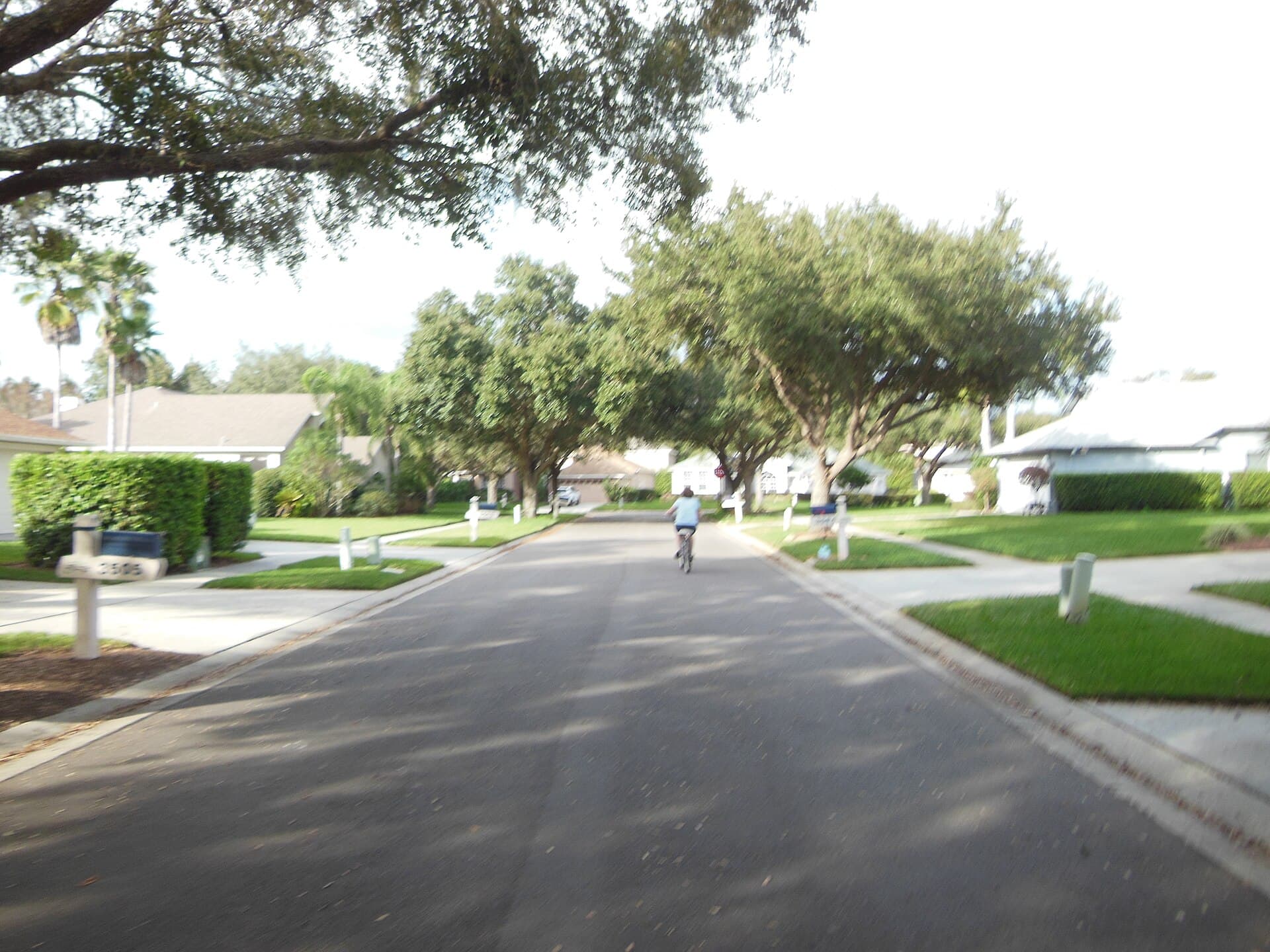A cyclist on a quiet tree-lined road in River Hills, Valrico